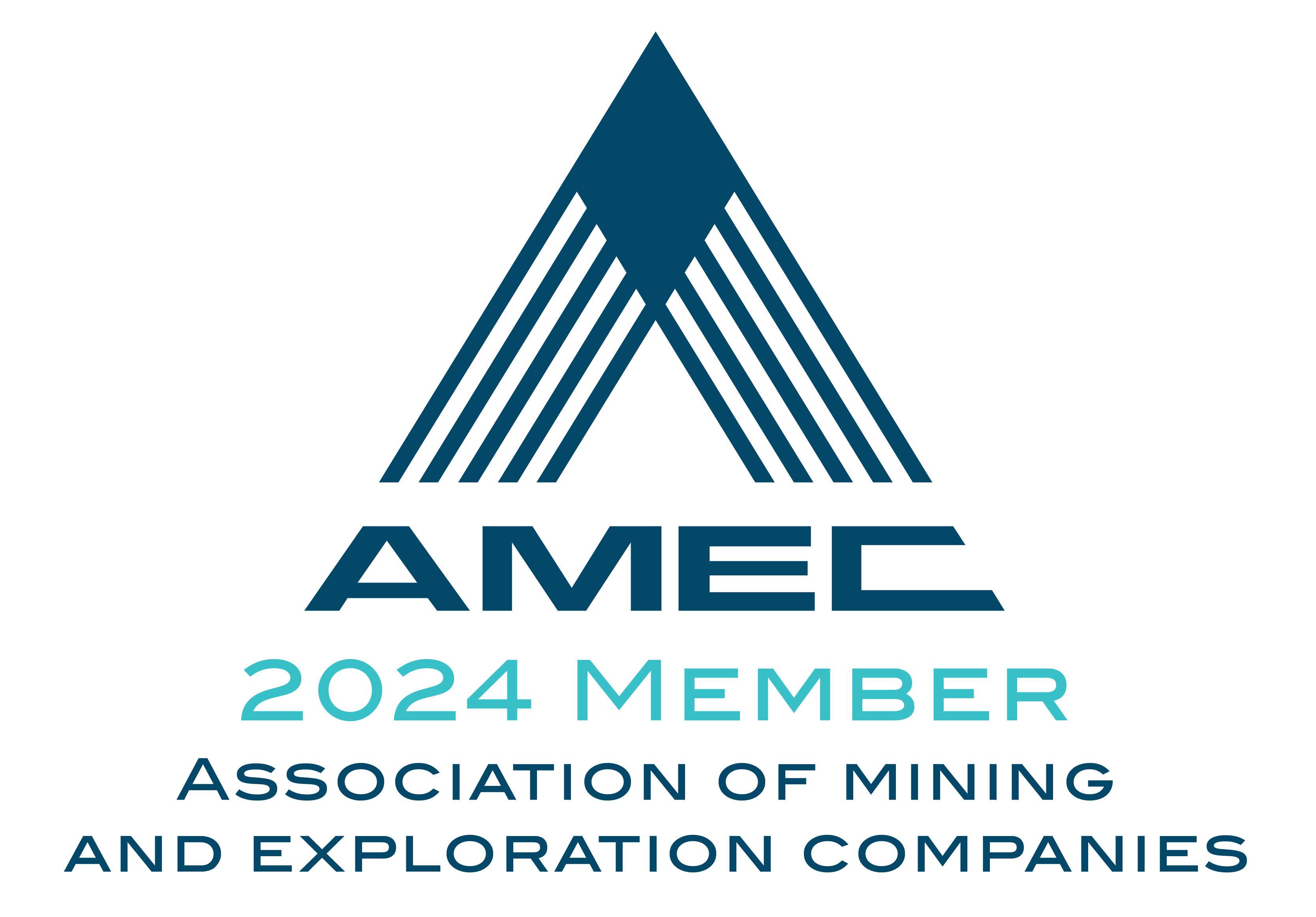 AMEC-Blue-Member-Logo_2024.png